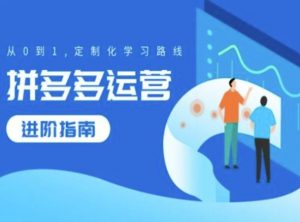 拼多多运营进阶指南,从0到1定制化学习路线-阳知网创资源库