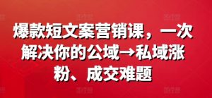 爆款短文案营销课,一次解决你的公域→私域涨粉、成交难题-阳知网创资源库