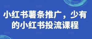 小红书薯条推广,少有的小红书投流课程-阳知网创资源库