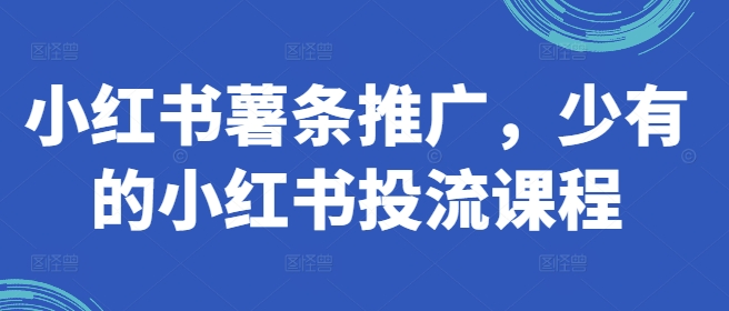 小红书薯条推广,少有的小红书投流课程-阳知网创资源库