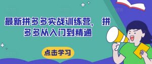 最新拼多多实战训练营, 拼多多从入门到精通-阳知网创资源库