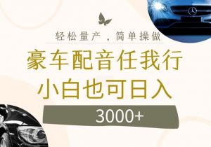 不为人知的暴力小项目,豪车配音,日入几张【揭秘】-阳知网创资源库