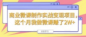 商业微课制作实战变现项目,这个月我做微课赚了2W+-阳知网创资源库