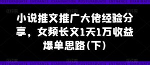小说推文推广大佬经验分享,女频长文1天1万收益爆单思路(下)-阳知网创资源库