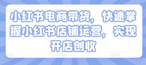 小红书电商带货，快速掌握小红书店铺运营，实现开店创收-阳知网创资源库
