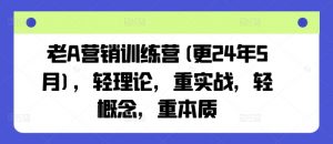 老A营销训练营(更24年7月),轻理论,重实战,轻概念,重本质-阳知网创资源库