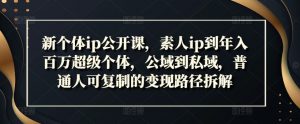 新个体ip公开课,素人ip到年入百万超级个体,公域到私域,普通人可复制的变现路径拆解-阳知网创资源库