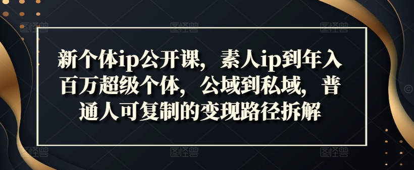 新个体ip公开课,素人ip到年入百万超级个体,公域到私域,普通人可复制的变现路径拆解-阳知网创资源库