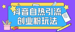 抖音引流创业粉自热玩法日引200+精准粉-阳知网创资源库