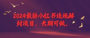 2024最新小红书违规解封项目，长期可做，一个可以做到退休的项目【揭秘】-阳知网创资源库