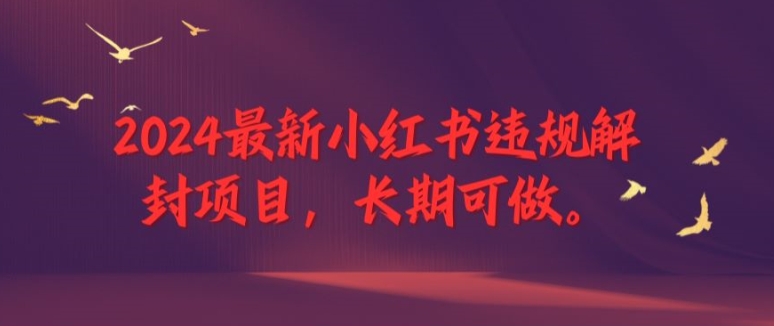 2024最新小红书违规解封项目,长期可做,一个可以做到退休的项目【揭秘】-阳知网创资源库