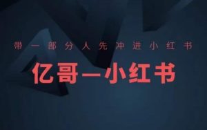 ​​带一部分人先冲进小红书，小红书开店、选品、爆款裂变-阳知网创资源库