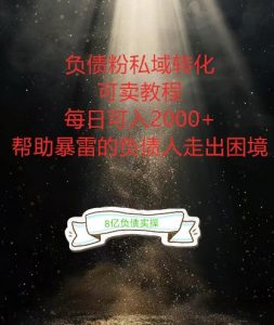 负债粉掘金计划,帮助负债者解决问题,债务规划,债务重组,最好的变现方式【揭秘】-阳知网创资源库