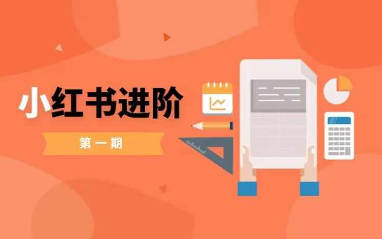 小红书进阶篇,零基础小白实战课,普通人变现的课程-阳知网创资源库
