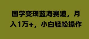 国学变现蓝海赛道,月入1W+,小白轻松操作【揭秘】-阳知网创资源库