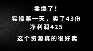 这个资源,需求很大,实操第一天卖了43份,净利润425【揭秘】-阳知网创资源库