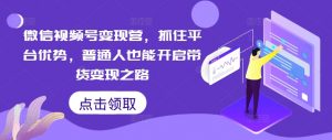 微信视频号变现营,抓住平台优势,普通人也能开启带货变现之路-阳知网创资源库