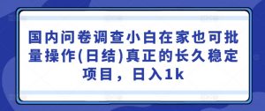 国内问卷调查小白在家也可批量操作(日结)真正的长久稳定项目,日入1k【揭秘】-阳知网创资源库