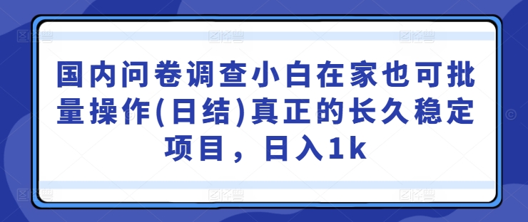 国内问卷调查小白在家也可批量操作(日结)真正的长久稳定项目,日入1k【揭秘】-阳知网创资源库