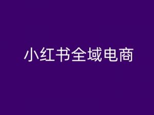 小红书全域电商,小红书电商教程-阳知网创资源库