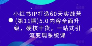 小红书IP打造60天实战营(第11期)5.0内容全面升级,硬核干货,一站式引流变现系统课-阳知网创资源库