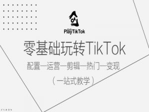 零基础玩转TikTok，配置一运营一剪辑一热门一变现，一站式教学-阳知网创资源库