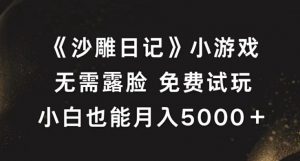 《沙雕日记》小游戏,无需露脸免费试玩,小白也能月入5000+【揭秘】-阳知网创资源库