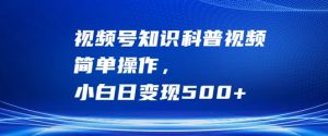 视频号知识科普视频,简单操作,小白日变现500+【揭秘】-阳知网创资源库