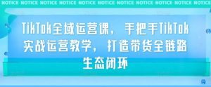 TikTok全域运营课,手把手TikTok实战运营教学,打造带货全链路生态闭环-阳知网创资源库