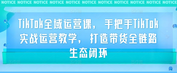 TikTok全域运营课,手把手TikTok实战运营教学,打造带货全链路生态闭环-阳知网创资源库