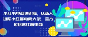 小红书电商进阶版,从新人进阶小红薯电商大佬,全方位玩透红薯电商-阳知网创资源库