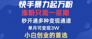 快手暴力起万粉,涨粉只需一星期,多种变现模式,直接秒开万合,单月变现过W【揭秘】-阳知网创资源库