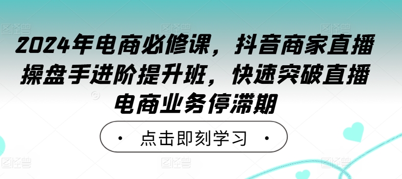2024年电商必修课,抖音商家直播操盘手进阶提升班,快速突破直播电商业务停滞期-阳知网创资源库