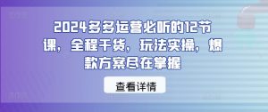 2024多多运营必听的12节课,全程干货,玩法实操,爆款方案尽在掌握-阳知网创资源库