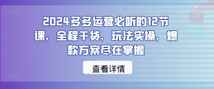 2024多多运营必听的12节课,全程干货,玩法实操,爆款方案尽在掌握-阳知网创资源库