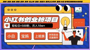 小红书创业粉项目日+500粉,每天20分钟躺赚长尾收益,无脑操作,宝妈,小白抓紧冲【揭秘】-阳知网创资源库