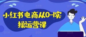 小红书电商从0-1实操运营课,小红书手机实操小红书/IP和私域课/小红书电商电脑实操板块等-阳知网创资源库