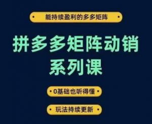 拼多多矩阵动销系列课，能持续盈利的多多矩阵，0基础也听得懂，玩法持续更新-阳知网创资源库