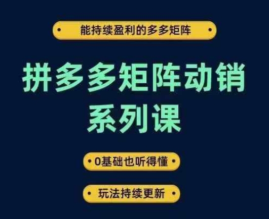 拼多多矩阵动销系列课，能持续盈利的多多矩阵，0基础也听得懂，玩法持续更新-阳知网创资源库