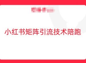 小红书矩阵引流技术，教大家玩转小红书流量-阳知网创资源库