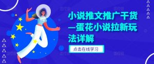 小说推文推广干货—蛋花小说拉新玩法详解-阳知网创资源库