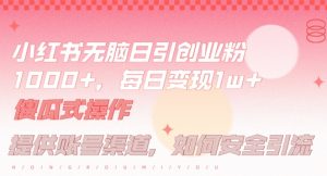 小红书无脑每日引流创业粉500+，小白每天只花半小时，躺赚长尾收益【揭秘】-阳知网创资源库