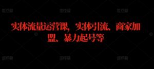 实体流量运营课,实体引流、商家加盟、暴力起号等-阳知网创资源库