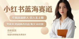 小红书蓝海赛道,圈中高端职场人,月入无上限,可矩阵,内含私域实操教程!-阳知网创资源库