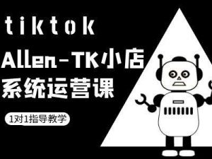 TK小店系统运营课-tiktok跨境电商教程-阳知网创资源库