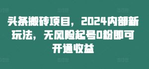 头条搬砖项目,2024内部新玩法,无风险起号0粉即可开通收益-阳知网创资源库