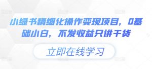 小绿书精细化操作变现项目,0基础小白,不发收益只讲干货-阳知网创资源库