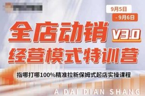 全店动销经营模式特训营,指哪打哪100%精准拉新保姆式起店实操课程-阳知网创资源库