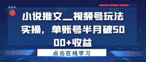 小说推文—视频号玩法实操,单账号半月破5000+收益-阳知网创资源库