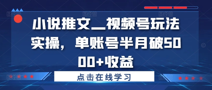 小说推文—视频号玩法实操,单账号半月破5000+收益-阳知网创资源库